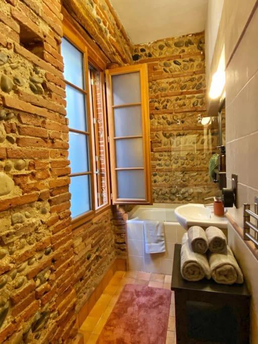 Cocon Cosy Dans La Ville Rose Тулуза Екстер'єр фото
