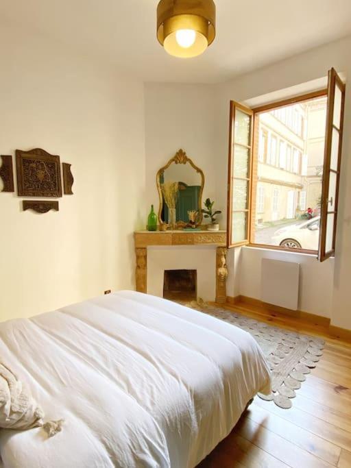 Cocon Cosy Dans La Ville Rose Тулуза Екстер'єр фото