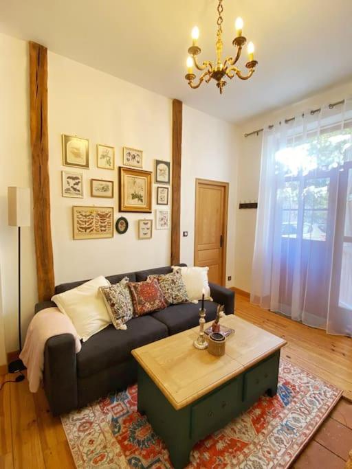 Cocon Cosy Dans La Ville Rose Тулуза Екстер'єр фото