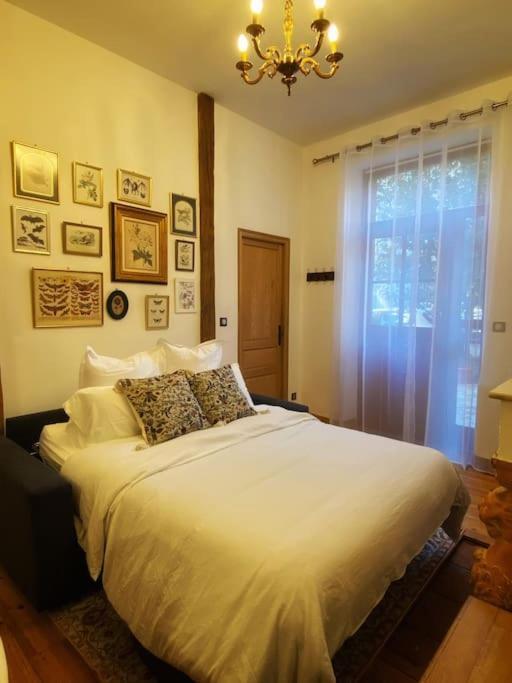 Cocon Cosy Dans La Ville Rose Тулуза Екстер'єр фото